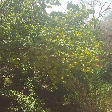 Maison D'Hotes Jardin Tamnougalt Dış mekan fotoğraf
